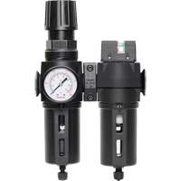 Filtre/d&eacute;tendeur & filtre coalescent Modulair 300 avec bol standard & drain manuel, 3/8" NPTF, 150 psi, Capacit&eacute; de 5,12 oz liq Equipment World