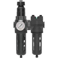 Filtre/d&eacute;tendeur & filtre coalescent Modulair 400 avec bol standard & drain manuel, 3/4" NPTF, 150 psi, Capacit&eacute; de 9,13 oz liq. Equipment World