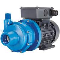 Magnetic Drive Pumps
