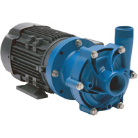 Magnetic Drive Pump with Carbon Bushing Equipment World