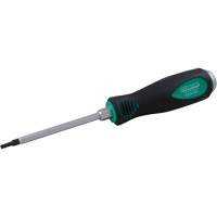 Torx&reg; Screwdriver Equipment World
