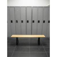 Locker Room Bench, Wood, 96" L x 9-1/4" W x 16-1/2" H RL874 | Equipment World