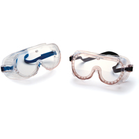 22 Series Safety Goggles, Clear Lens, Direct Vent Equipment World