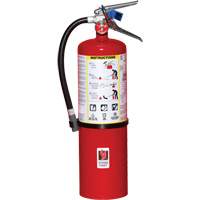 Fire Extinguisher, ABC, 10 lbs. Capacity Equipment World