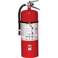 Fire Extinguisher, ABC, 20 lbs. Capacity Equipment World