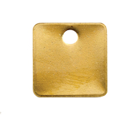 Blank Tags, Brass, 1.25" dia Equipment World