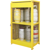 Gas Cylinder Cabinets, 12 Cylinder Capacity, 44" W x 30" D x 74" H, Yellow Equipment World