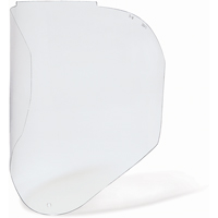 Bionic Replacement Faceshield, Polycarbonate, Clear Tint Equipment World