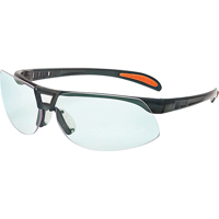 Lunettes de s&eacute;curit&eacute; Uvex Prot&eacute;g&eacute; Ultra-Dura, Lentille Transparent, Anti-&eacute;gratignures, ANSI Z87+/R&eacute;pond ou surpasse la norme CSA Z94.3 Equipment World