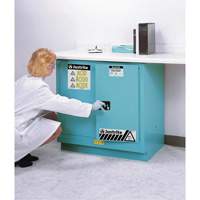 ChemCor&reg; Lined Acid/Corrosive Storage Cabinets, 22 gal., 35" x 35" x 22" Equipment World