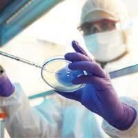 Kimtech Examination Gloves, X-Small, Nitrile, 6-mil, Powder-Free, Purple, Class 2 Equipment World