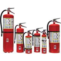 Fire Extinguisher, ABC, 30 lbs. Capacity SED110 | Equipment World