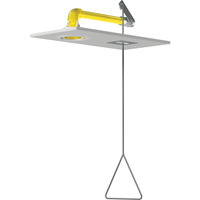 Douches d'urgence &agrave; alimentation horizontale, Montage au plafond Equipment World