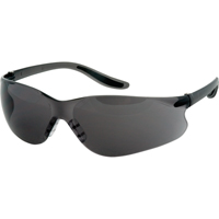 Z500 Series Safety Glasses, Grey/Smoke Lens, Anti-Scratch Coating, ANSI Z87+/CSA Z94.3 SAS362 | Equipment World