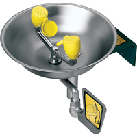 Eye/Face Wash Station, Wall-Mount Installation, Stainless Steel Bowl Equipment World