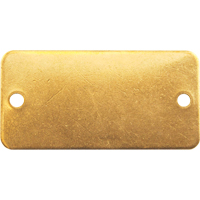 Blank Tags, Brass, 2" W x 1" H Equipment World