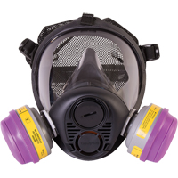 Respirateur &agrave; masque complet de s&eacute;rie RU6500 de North, Silicone, Petit Equipment World
