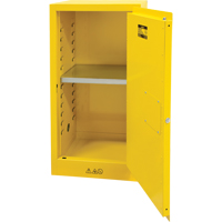 Flammable Storage Cabinet, 16 gal., 1 Door, 23" W x 44" H x 18" D SDN643 | Equipment World