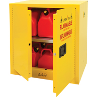 Armoire pour produits inflammables, 22 gal., 2 Porte(s), 35" La x 35" h x 22" p Equipment World
