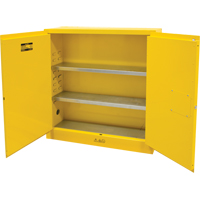 Flammable Storage Cabinet, 24 gal., 2 Door, 43" W x 44" H x 12" D Equipment World