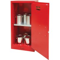Paint/Ink Cabinet, 20 gal. Equipment World