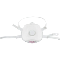Particulate Respirator, P100, NIOSH Certified, Medium/Large Equipment World