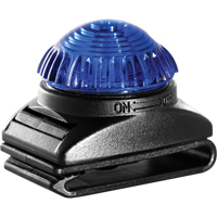 Guardian Warning Light, Continuous/Flashing, Blue Equipment World