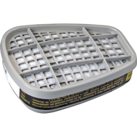 Respiratory Cartridge and Filters