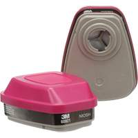 6000 Series Respirator Cartridges, Gas/Vapour Cartridge, Organic Vapour/P100 Equipment World