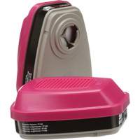 6000 Series Respirator Cartridges, Gas/Vapour Cartridge, Organic Vapour/P100 Equipment World