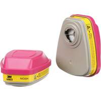 6000 Series Respirator Cartridges, Gas/Vapour Cartridge, Organic Vapour/Acid Gas/P100 Equipment World