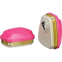 6000 Series Respirator Cartridges, Gas/Vapour Cartridge, Multi-Gas/Vapour/P100 Equipment World