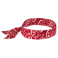 Chill-Its&reg; 6700 Cooling Bandanas, Red Equipment World
