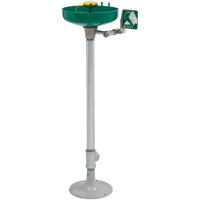 Axion&reg; Eye/Face Wash Station, Pedestal Installation, Plastic Bowl Equipment World