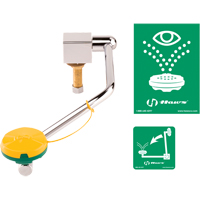 Eye/Face Wash Station, Sink Mount Installation Equipment World