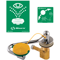 Eye/Face Wash Station, Sink Mount Installation Equipment World