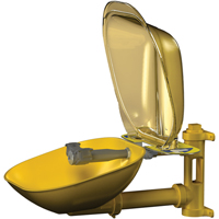 Poste de douche oculaire Halo, Installation Montage mural, Bol Plastique Equipment World