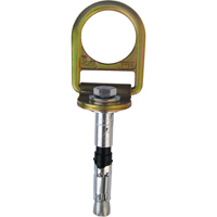 PRO Concrete D-ring Anchor with Bolt, Concrete/D-Ring, Permanent Use Equipment World