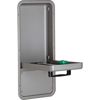 Eye/Face Wash Station, Wall-Mount Installation, Stainless Steel Bowl Equipment World
