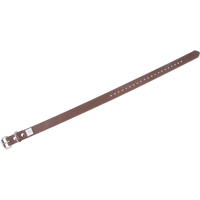 Leg Straps Equipment World