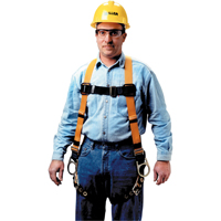 Fall Arrest Harnesses