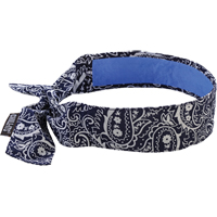 Chill-Its&reg; 6700CT Cooling Bandanas, Blue Equipment World