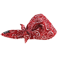 Bandeaux en triangle 6710CT de refroidissement en tissu de serviette Chill-Its, Rouge Equipment World