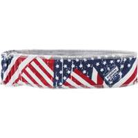 Chill-Its 6605 Cooling Headbands, Multi-Colour Equipment World