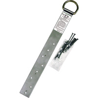 Miller<sup>®</sup> Single Roof Anchor, D-Ring, Permanent Use SEP483 | Equipment World