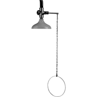 Lifesaver<sup>®</sup> Emergency Overhead Showers, Ceiling-Mount SF859 | Equipment World