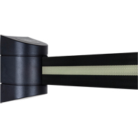 TensaBarrier&reg; Wall Mounted Units, Plastic, Screw Mount, 15', Black Tape Equipment World