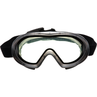 Capstone Dual Lens Safety Goggles, Clear Lens, Anti-Fog/Anti-Scratch, Indirect Vent Equipment World