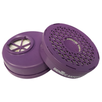 Respirator Cartridge, Particulate Filter, P100 Filter Equipment World