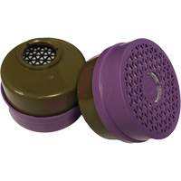 Respirator Cartridge, Gas/Vapour Cartridge, Multi Gas/Organic Vapour/P100 Filter Equipment World